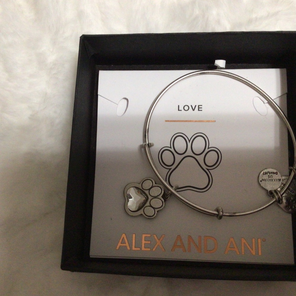 Alex and Ani Love bracelet